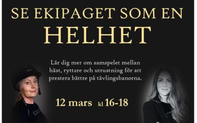 Föreläsning -Ekipaget som helhet, sambandet mellan ryttare, häst och utrustning