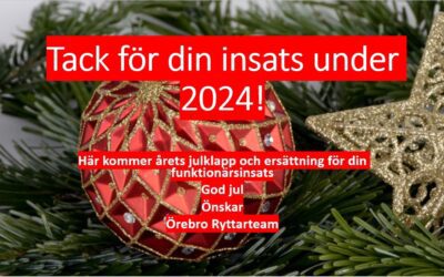 Årets julklapp, tack för din insats under 2024!